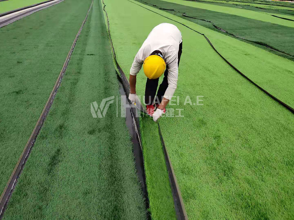 衡水景县文体中心